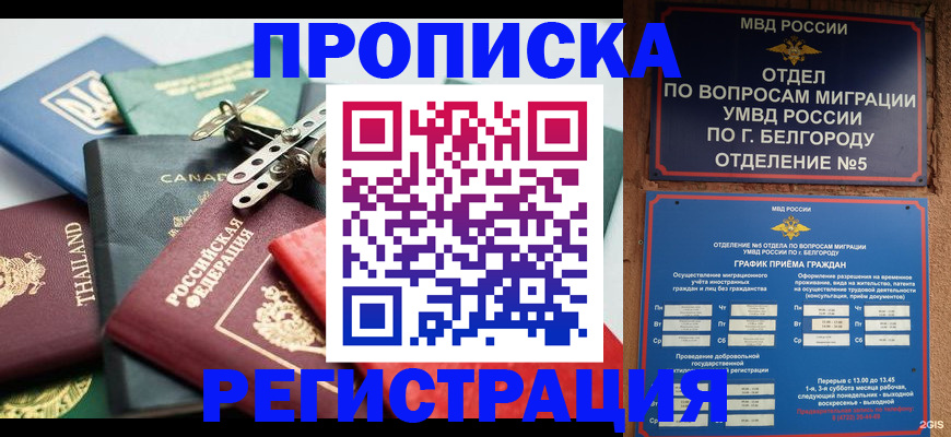 временная регистрация недорого в Лосино-Петровском